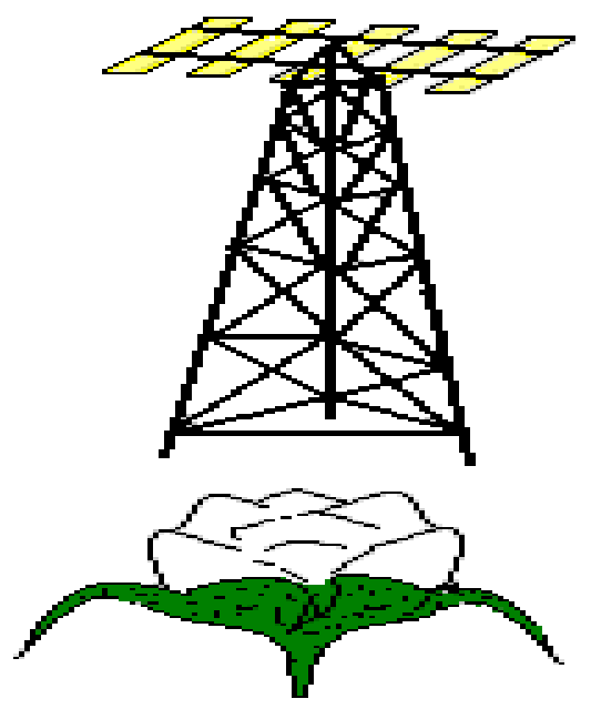 Logo Radio NAANE OUASSA FM